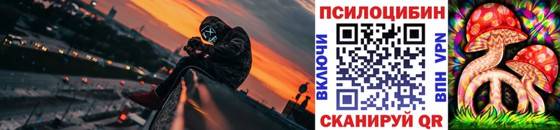 Галлюциногенные грибы Psilocybine cubensis  где найти наркотики  Копейск 