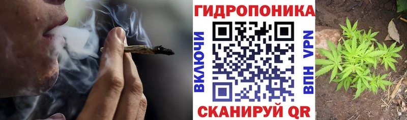 купить наркотики цена  Копейск  Бошки Шишки SATIVA & INDICA 